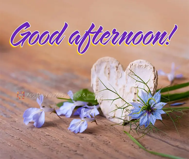 Good afternoon!