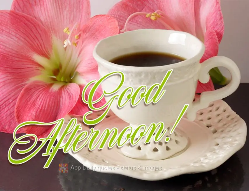 Good afternoon!