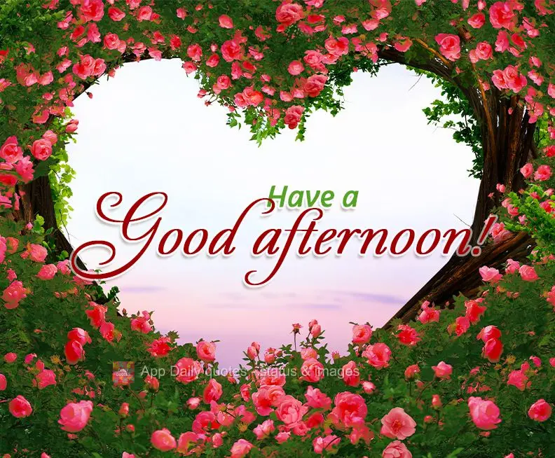 Have a good afternoon!