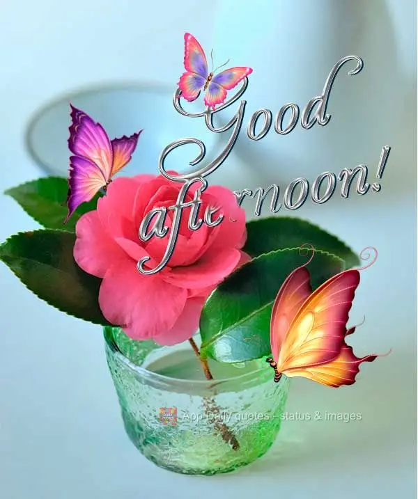 Good afternoon!