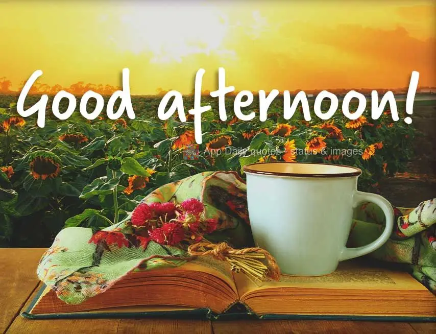 Good afternoon!