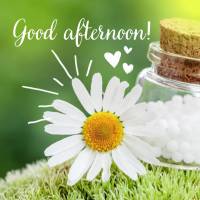Good afternoon!