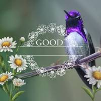 Good afternoon!