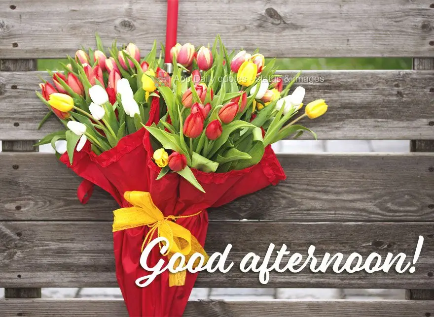 Good afternoon!