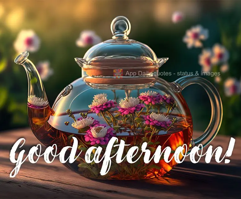 Good afternoon!