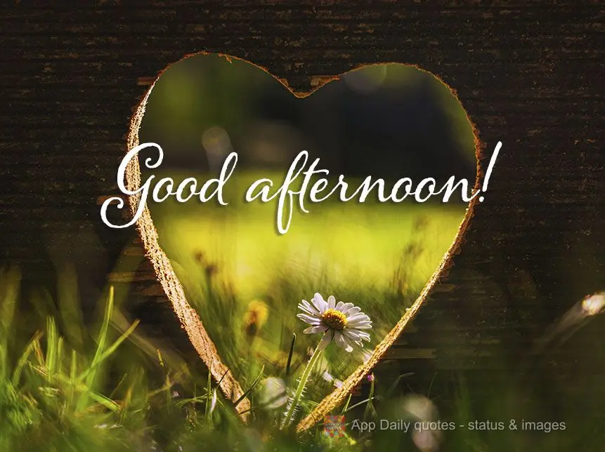 Good afternoon!