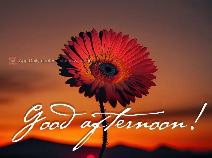 Good afternoon!