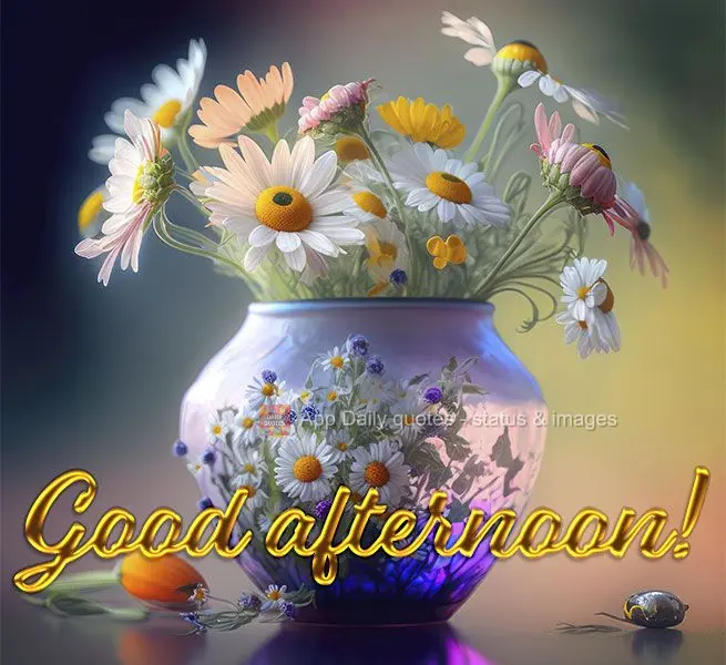 Good afternoon!