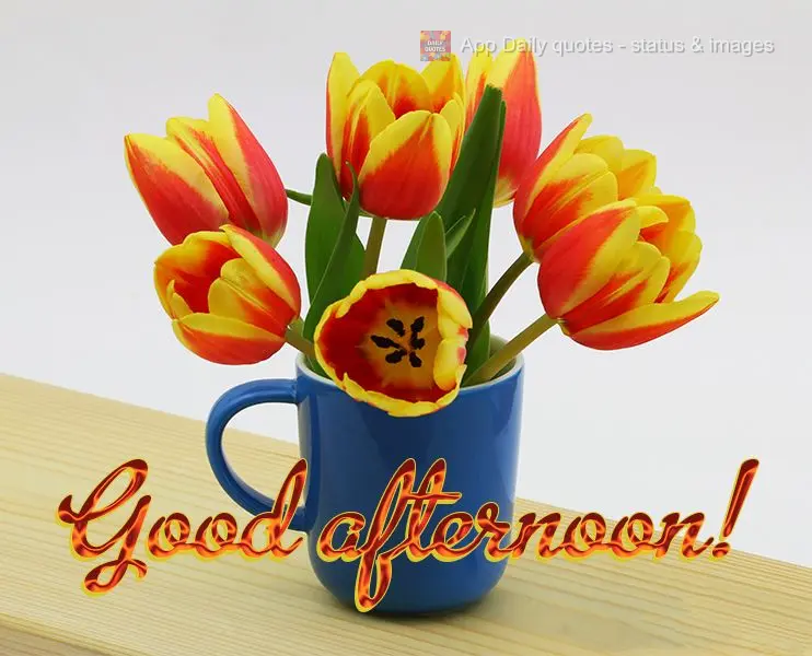 Good afternoon!
