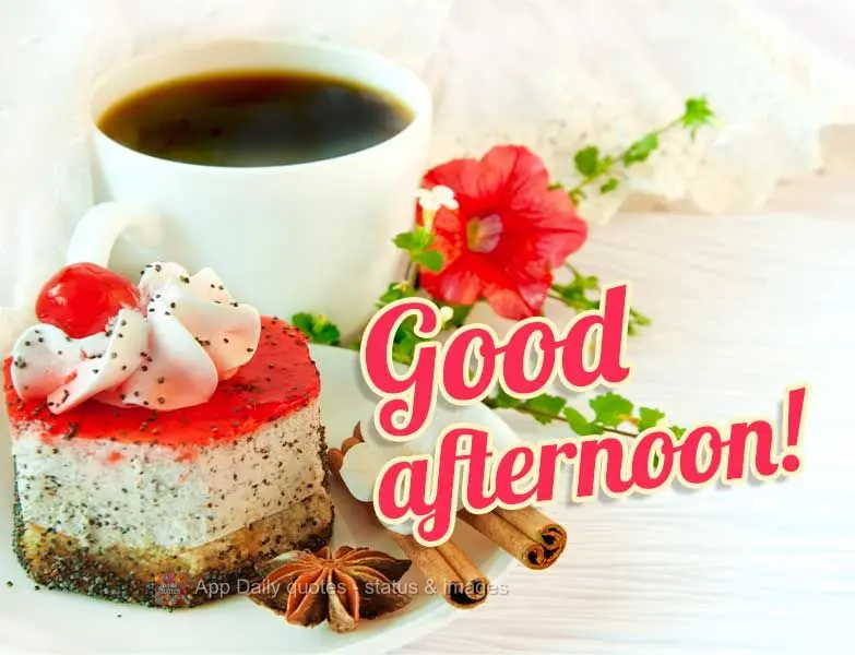 Good afternoon!
