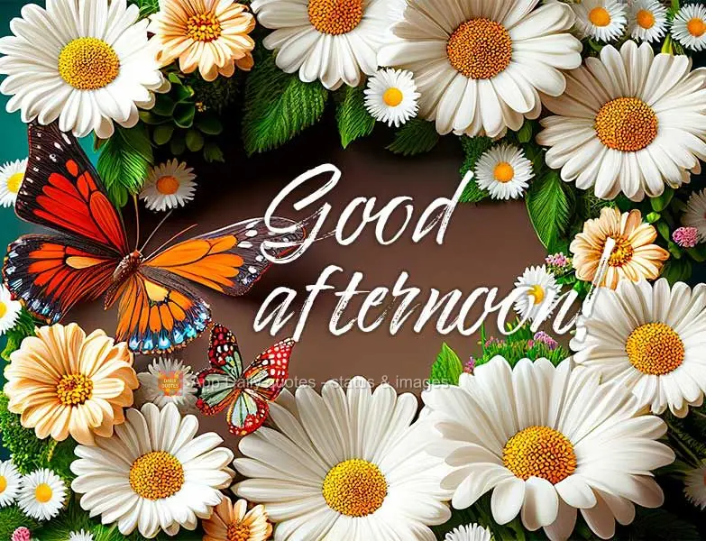 Good afternoon!