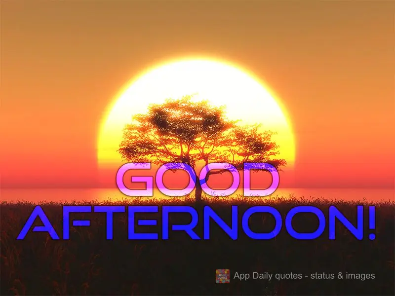 Good afternoon!