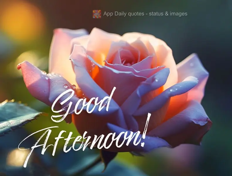 Good afternoon!