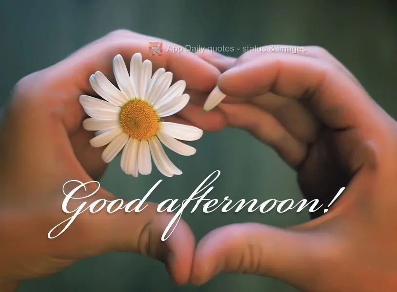 Good afternoon!