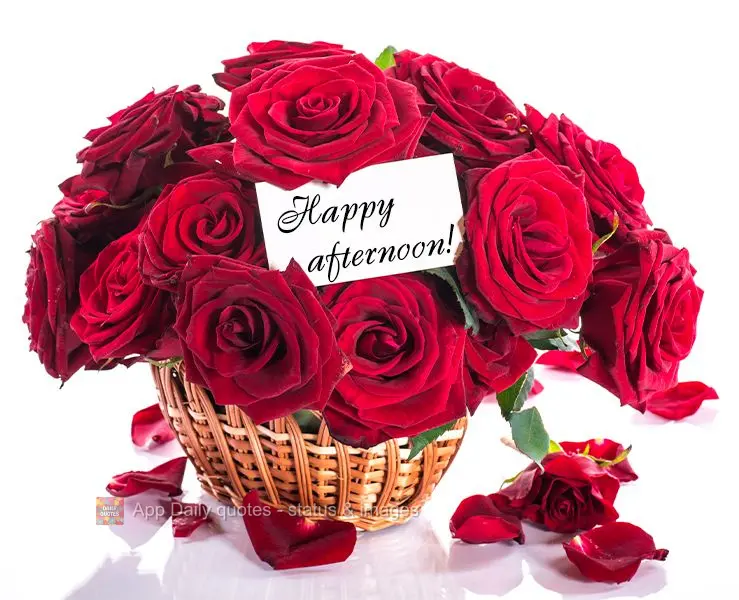 Happy afternoon!
