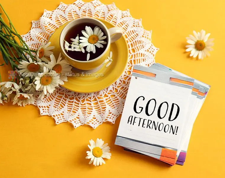 Good afternoon!