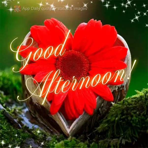 Good afternoon!