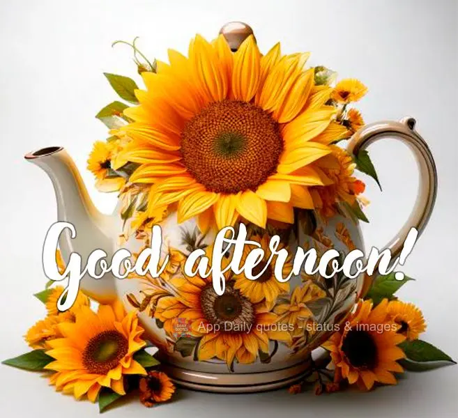 Good afternoon!