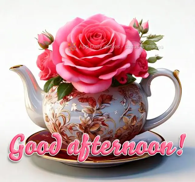 Good afternoon!