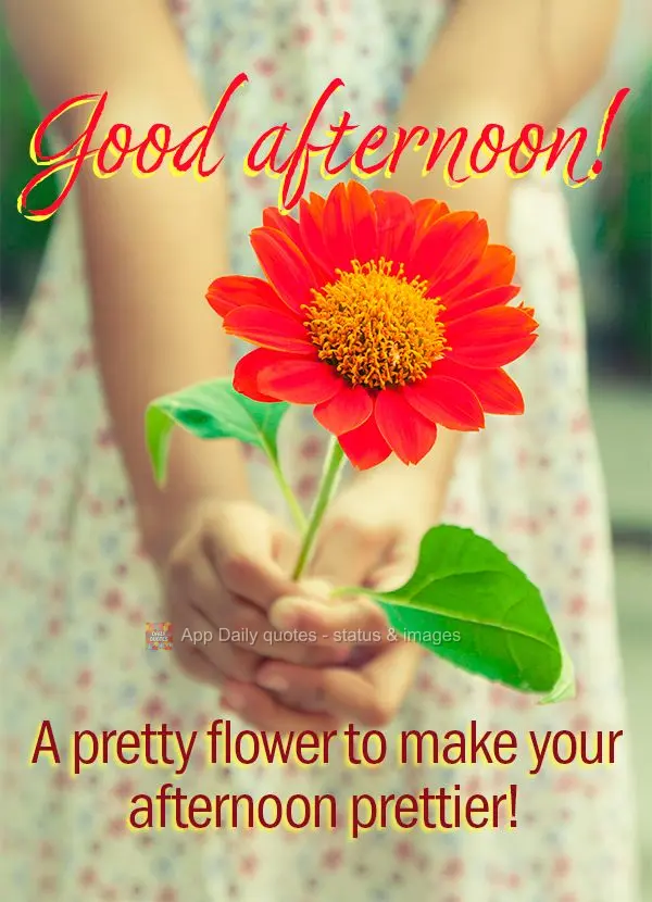 A pretty flower to make your afternoon prettier! Good afternoon!