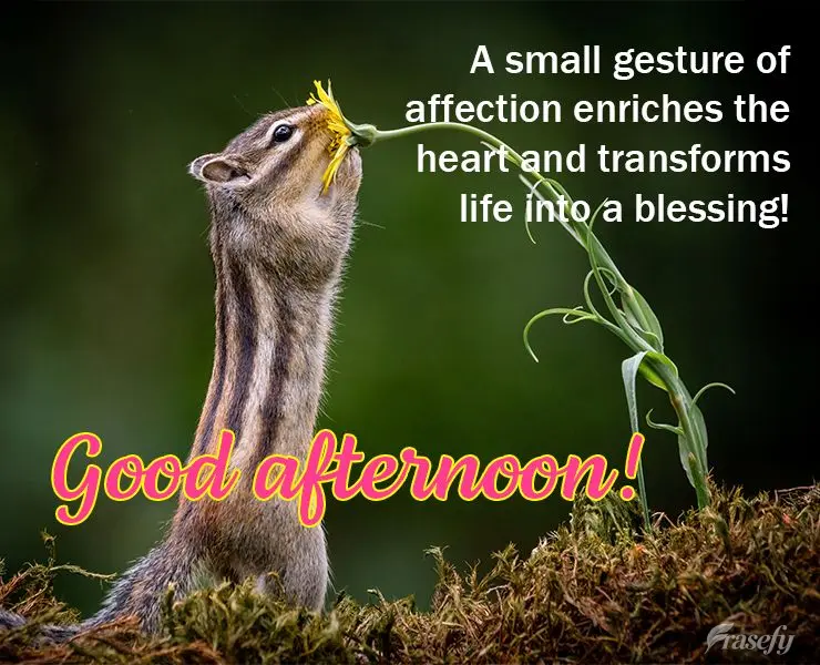 A small gesture of affection enriches the heart and transforms life into a blessing! Good afternoon!