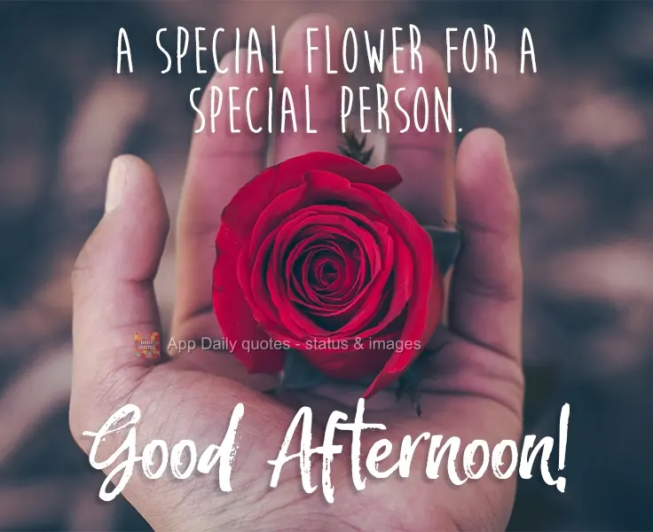 A special flower for a special person. Good Afternoon!