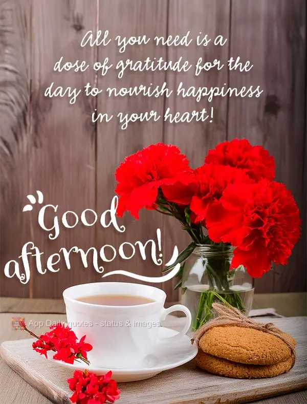 All you need is a dose of gratitude for the day to nourish happiness in your heart! Good afternoon!