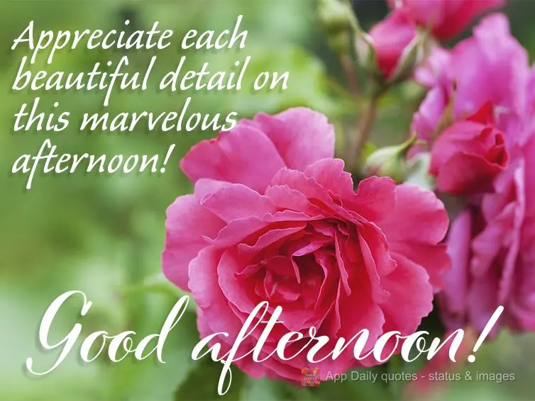 Appreciate every beautiful detail on this marvelous afternoon! Good afternoon!