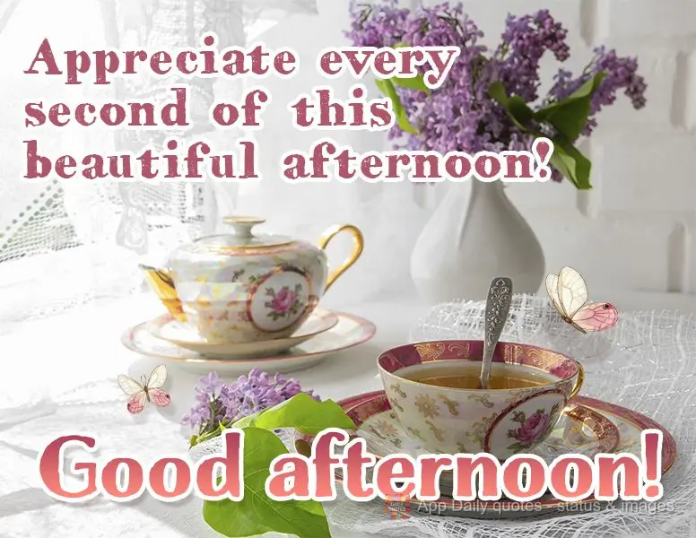 Appreciate every second of this beautiful afternoon! Good afternoon!