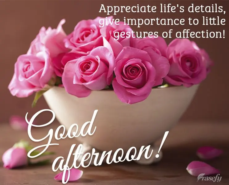 Appreciate life's details, and give importance to little gestures of affection! Good afternoon!