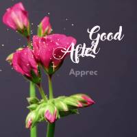Appreciate small gestures, they are full of affection and love! Good afternoon!