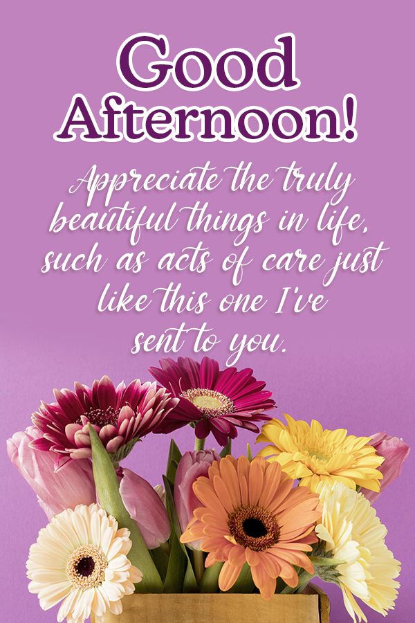 Appreciate the truly beautiful things in life, such as acts of kindness just like this one I'm sending to you.  Good afternoon! 