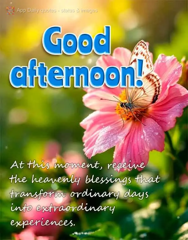 At this moment, receive the heavenly blessings that transform ordinary days into extraordinary experiences. Good afternoon! 
