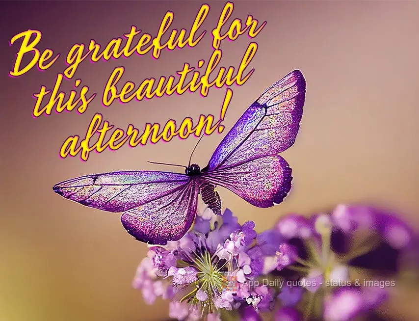 Be grateful for this beautiful afternoon!