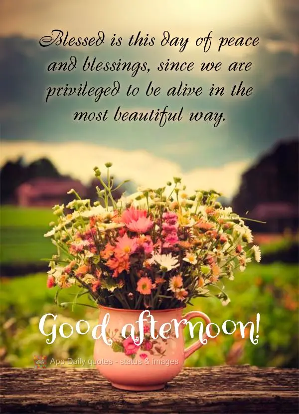 Blessed is this day of peace and blessings, since we are privileged to be alive in the most beautiful way. Good afternoon!