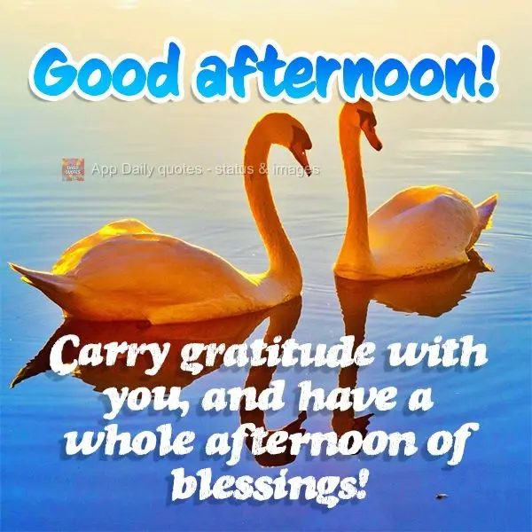 Carry gratitude with you, and you will have a whole afternoon of blessings! Good afternoon!