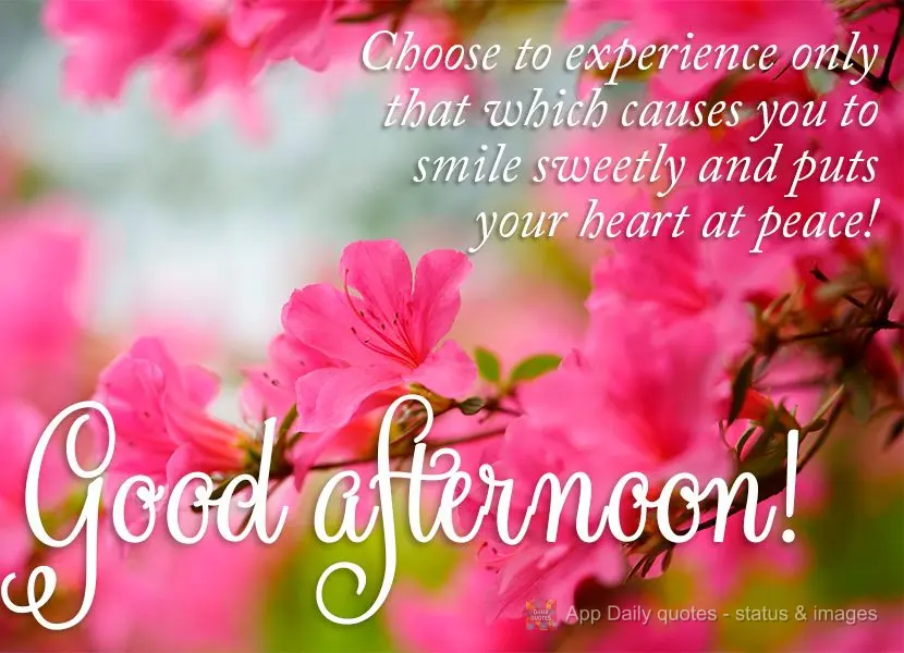 Choose to experience only that which causes you to smile sweetly and puts your heart at peace! Good afternoon!