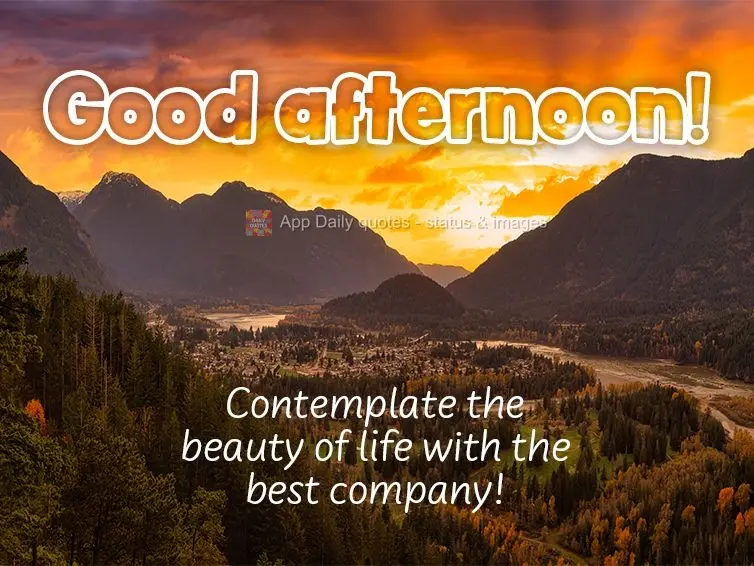 Contemplate the beauty of life with the best company! Good afternoon!