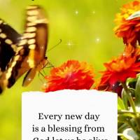 Each new day is a blessing from God, let us experience every moment! Good afternoon!