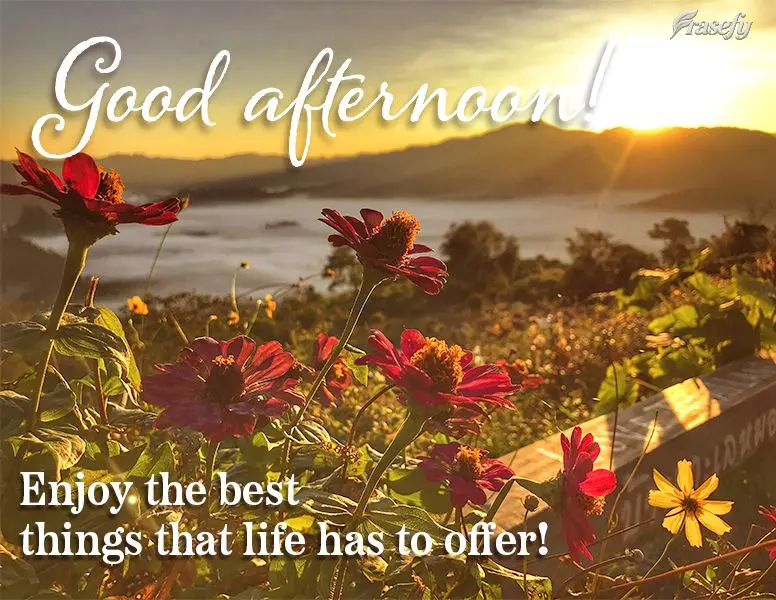 Enjoy the best things that life has to offer! Good afternoon!