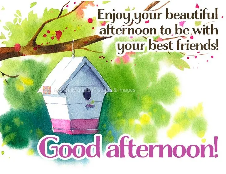 Enjoy your beautiful afternoon with your best friends! Good afternoon!