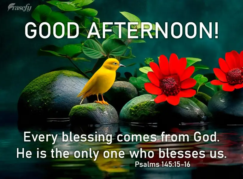 Every blessing comes from God. He is the only one who blesses us. Good afternoon! Psalms 145:15-16