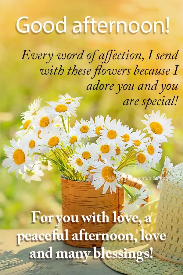 Every word of affection, I send with these flowers because I adore you and you are special! For you with love, a peaceful afternoon, love and many blessi...