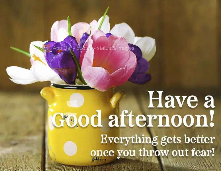 Everything improves once you get rid of fear! Have a good afternoon!