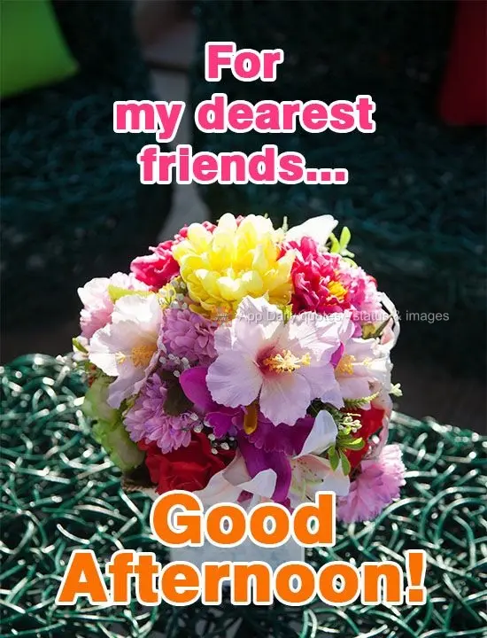 For my dearest friends... Good Afternoon!