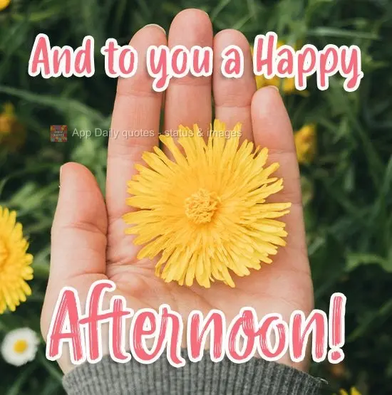 For you, a Happy afternoon! 