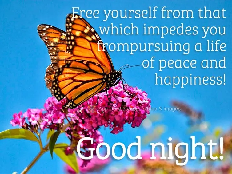 Free yourself from that which impedes you from pursuing a life of peace and happiness! Good Night! 