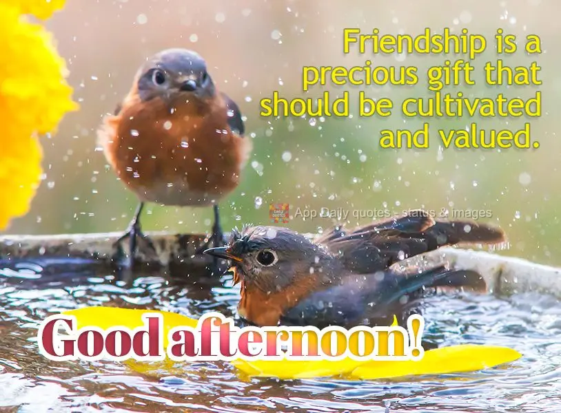 Friendship is a precious gift that should be cultivated and valued. Good afternoon!