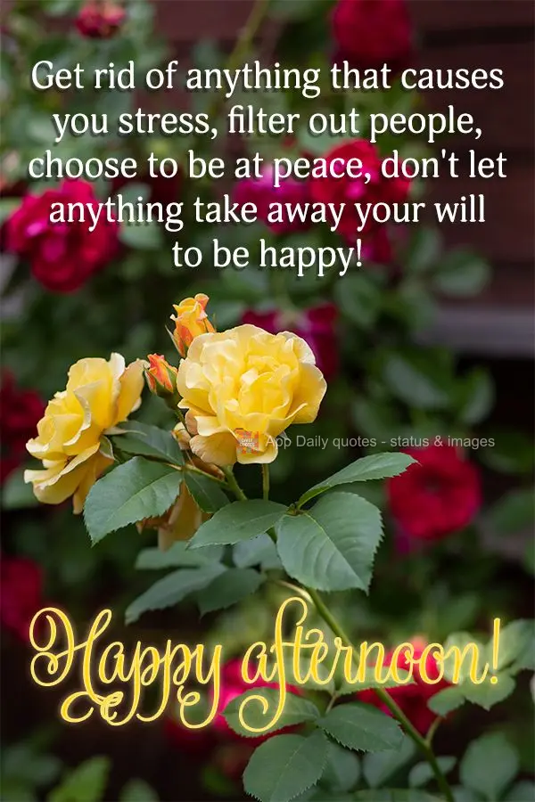Get rid of anything that causes you stress, filter out people, choose to be at peace, don't let anything take away your will to be happy! Happy afternoon...