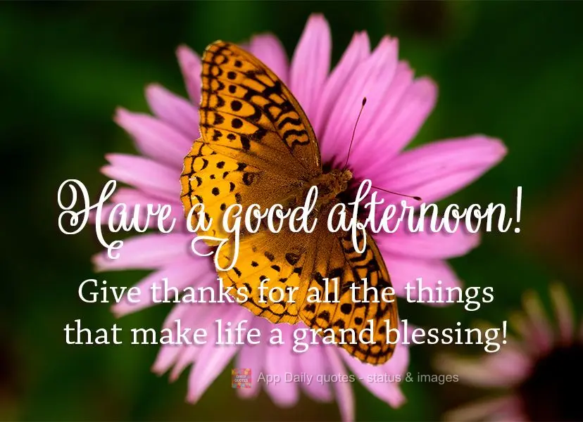 Give thanks for all the things that make life a grand blessing! Have a good afternoon!